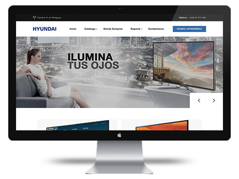 HYUNDAI ELECTRÓNICOS